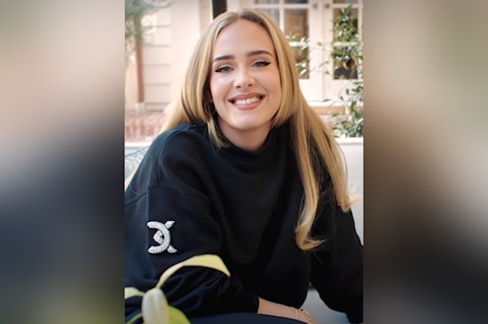 Fort Lauderdale Girl in Mini-Adele Gown Steals the Show in Las Vegas, Viral Moment with Star Singer Melts Hearts