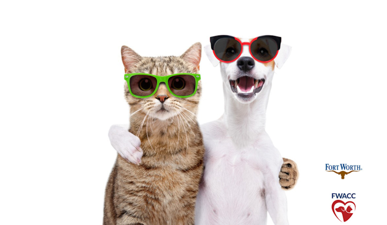 Fort Worth Animal Care & Control Offers Tips for Protecting Pets from Summer Heat