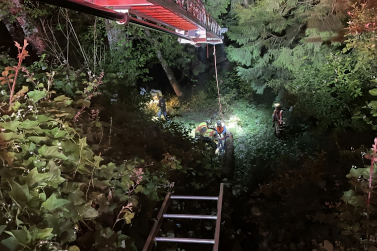 Four Airlifted to Hospital After Vehicle Plunges off I-5 Near Kelso in Dramatic Early Morning Rescue