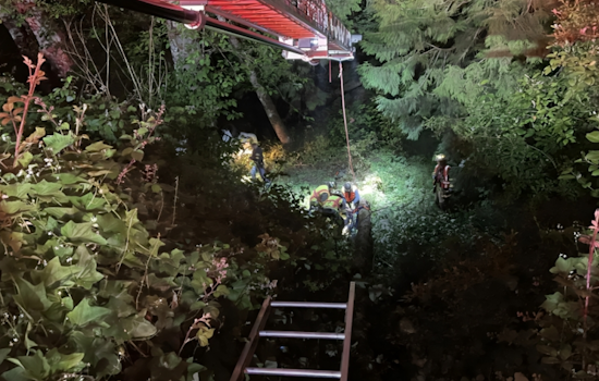 Four Airlifted to Hospital After Vehicle Plunges off I-5 Near Kelso in Dramatic Early Morning Rescue