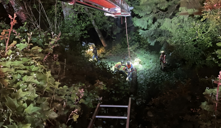 Four Airlifted to Hospital After Vehicle Plunges off I-5 Near Kelso in Dramatic Early Morning Rescue