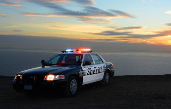 Four Suspected Avocado Thieves Arrested in Ventura County Thanks to "Farm Watch" Initiative