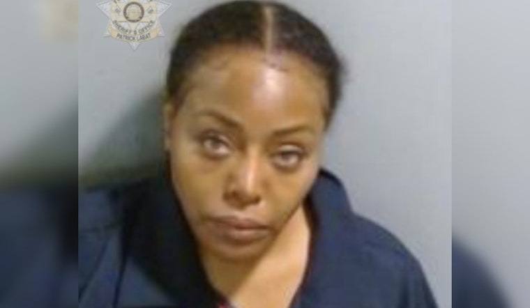 Georgia Supreme Court Orders Removal of Douglas County Judge Christina Peterson for "Systemic Incompetence"