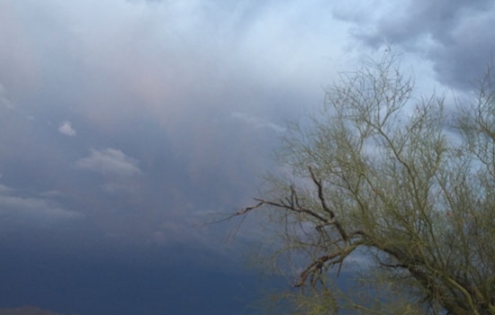 Goodyear Ramps Up Monsoon Preparedness With Alert System and Free Sandbags for Residents
