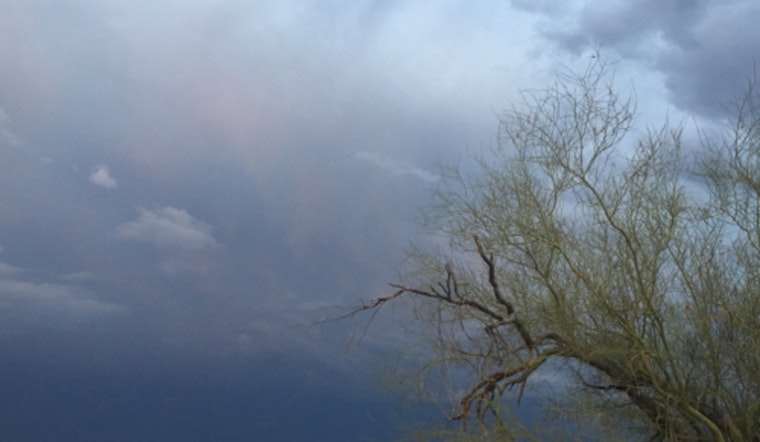 Goodyear Ramps Up Monsoon Preparedness With Alert System and Free Sandbags for Residents