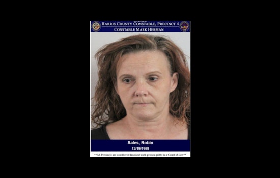 Harris County Driver Charged with Possession of Methamphetamine with Intent to Deliver Post Traffic Stop
