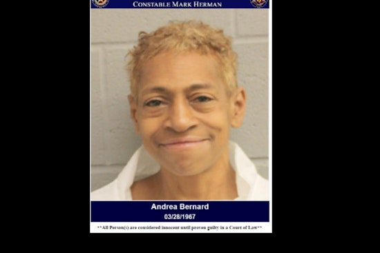 Harris County Woman Arrested for DWI and Aggressive Encounter with Deputies After Traffic Accident
