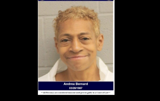 Harris County Woman Arrested for DWI and Aggressive Encounter with Deputies After Traffic Accident