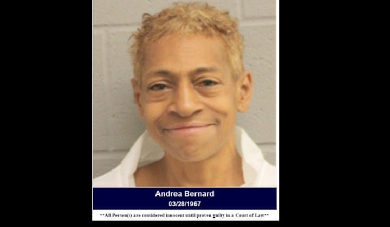 Harris County Woman Arrested for DWI and Aggressive Encounter with Deputies After Traffic Accident