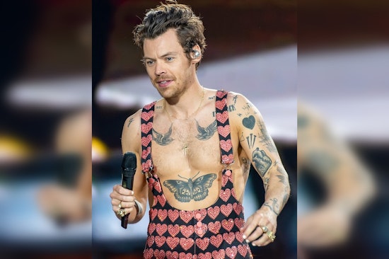 Harry Styles Unveils 'Pleasing AstroMilk Bar' Pop-Up Shop in Chicago's Wicker Park