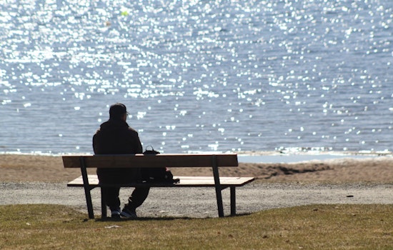 Harvard Study Links Chronic Loneliness to Increased Stroke Risk in Older Adults