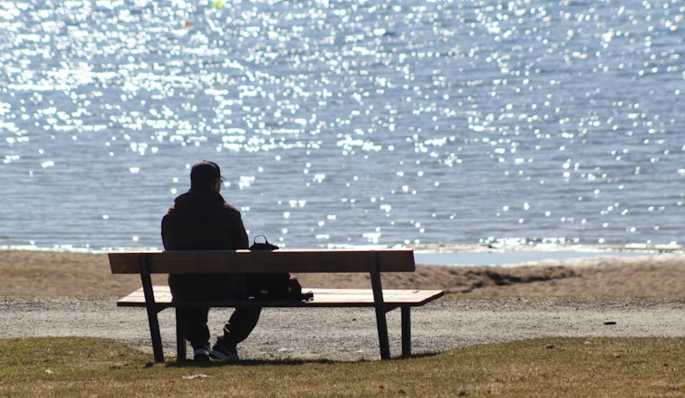 Harvard Study Links Chronic Loneliness to Increased Stroke Risk in Older Adults