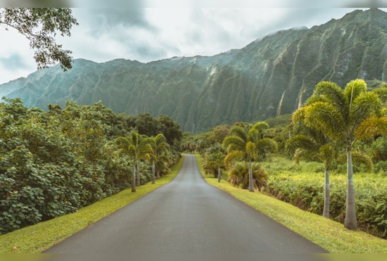 Hawaii's Weekend Weather: Moderate Trades and Passing Showers, Increasing Winds Next Week