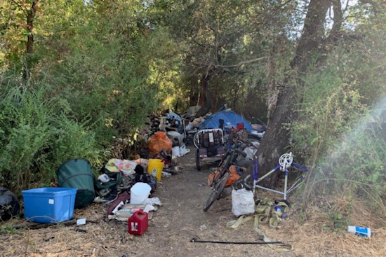 Healdsburg Police Issue Citations for Waste Ordinance Violations Near Foss Creek Amid Homeless Camp Clean-Up Efforts