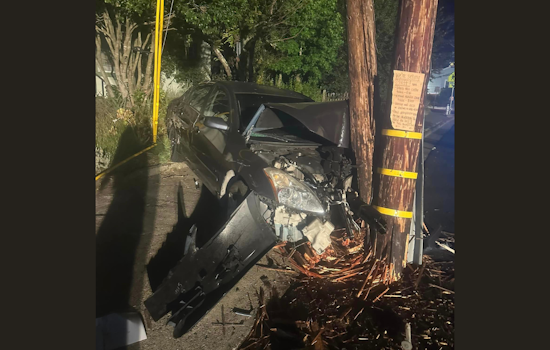 High-Speed DUI Crash Leads to Power Outage and Arrest in Sebastopol