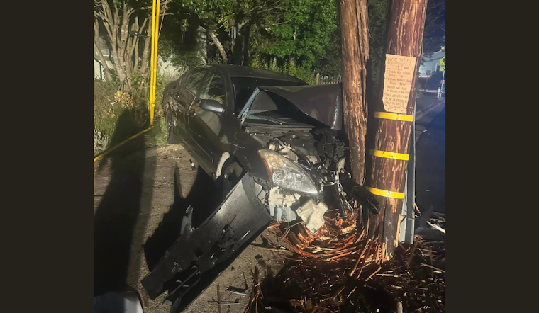 High-Speed DUI Crash Leads to Power Outage and Arrest in Sebastopol
