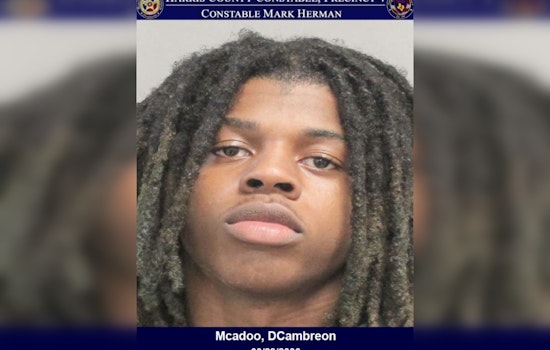 Houston Area Apartment Complex Sees Swift Justice as Deputies Arrest Suspect Dcambreon McAdoo for Vehicle Burglary Attempt