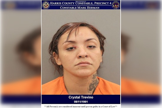 Houston Law Enforcement Seeks Woman Accused of Stealing Versace Purse from Premium Outlet Mall