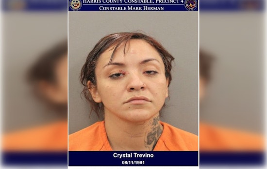 Houston Law Enforcement Seeks Woman Accused of Stealing Versace Purse from Premium Outlet Mall