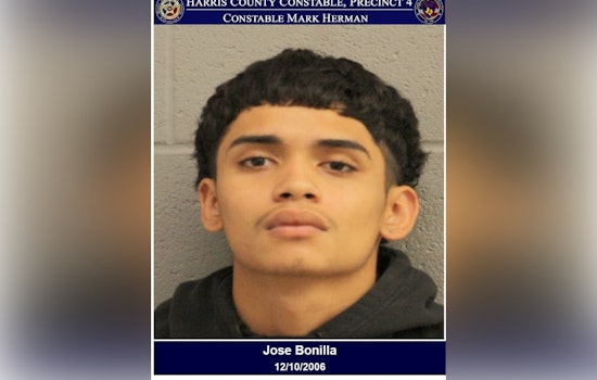 Houston Man Charged Following Constable Canine's Key Role in Vehicle Burglary Response