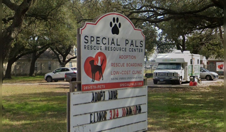 Houston Shelter Nurses Severely Neglected Dog Back to Health Amid Surge in Animal Intake