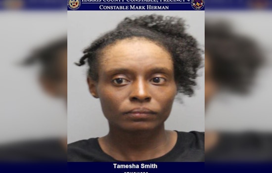 Houston Woman Charged with Terroristic Threat Following Disturbance on West Lake Houston Parkway