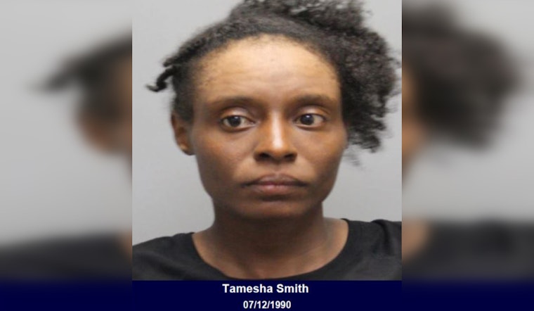 Houston Woman Charged with Terroristic Threat Following Disturbance on West Lake Houston Parkway