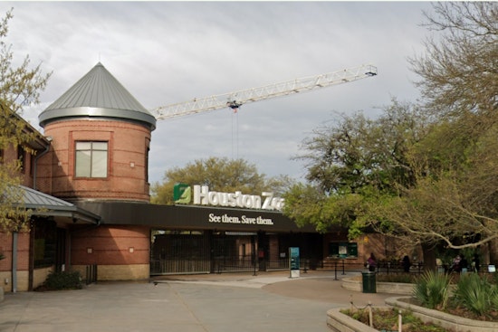 Houston Zoo Ranks as America's Third 'Must-Visit' Zoo in Nationwide Survey