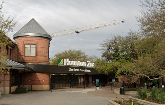 Houston Zoo Ranks as America's Third 'Must-Visit' Zoo in Nationwide Survey