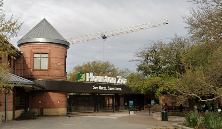 Houston Zoo Ranks as America's Third 'Must-Visit' Zoo in Nationwide Survey