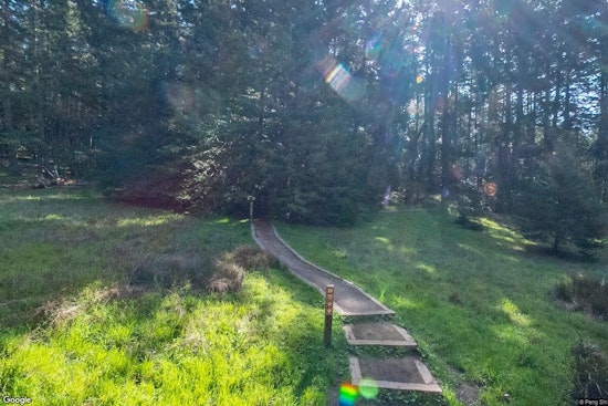 VIDEO: Joint Rescue Effort Saves Injured Hiker in Marin County's Cataract Trail