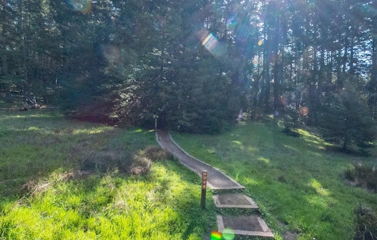 VIDEO: Joint Rescue Effort Saves Injured Hiker in Marin County's Cataract Trail