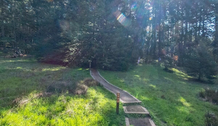 VIDEO: Joint Rescue Effort Saves Injured Hiker in Marin County's Cataract Trail