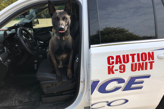 K9 Breston of Frisco Police Retires After Years of Dedicated Service to the Community