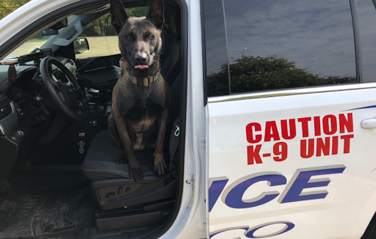 K9 Breston of Frisco Police Retires After Years of Dedicated Service to the Community