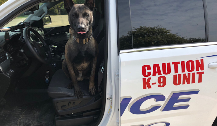 K9 Breston of Frisco Police Retires After Years of Dedicated Service to the Community