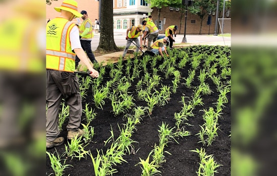 Knoxville Wages War on Invasive Species with $225,000 Federal Grant for Green Space Restoration