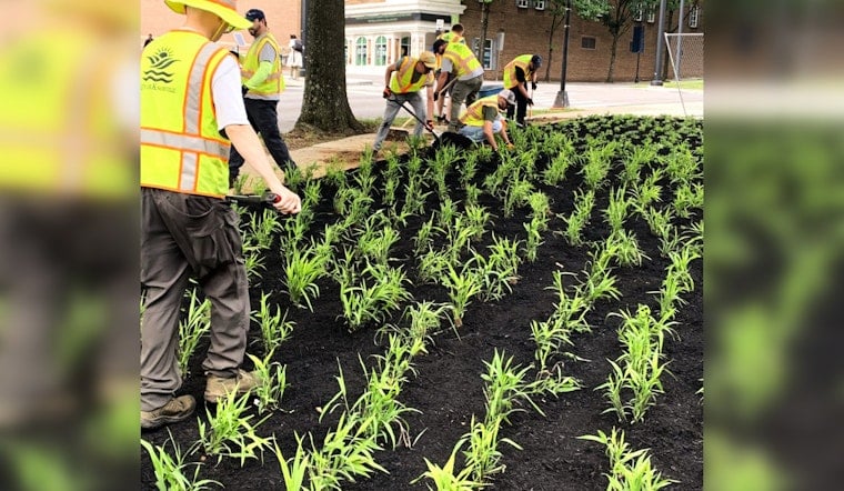 Knoxville Wages War on Invasive Species with $225,000 Federal Grant for Green Space Restoration