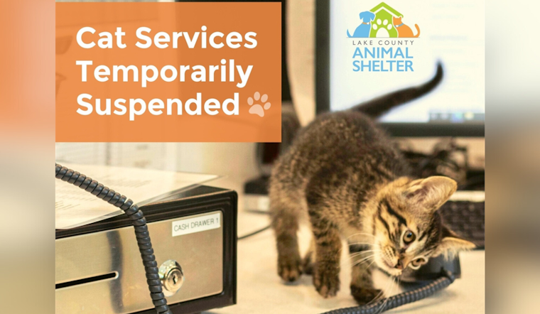 Lake County Animal Shelter Adjusts Operations Amid Feline Panleukopenia Outbreak