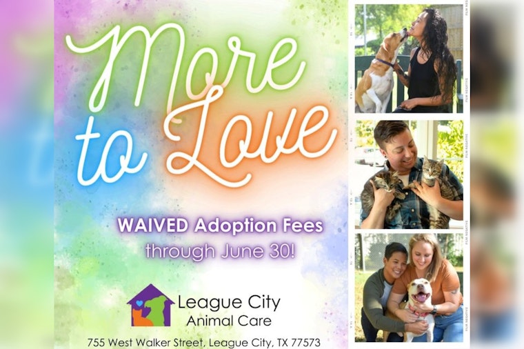 League City Animal Care Waives Adoption Fees to Find Homes for Over 150 Pets
