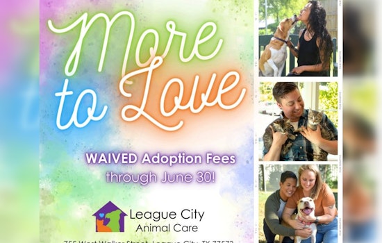 League City Animal Care Waives Adoption Fees to Find Homes for Over 150 Pets