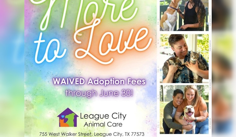 League City Animal Care Waives Adoption Fees to Find Homes for Over 150 Pets