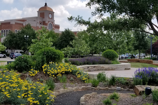 Lewisville and Castle Hills Residents Get City Help with Post-Storm Cleanup Starting June 10