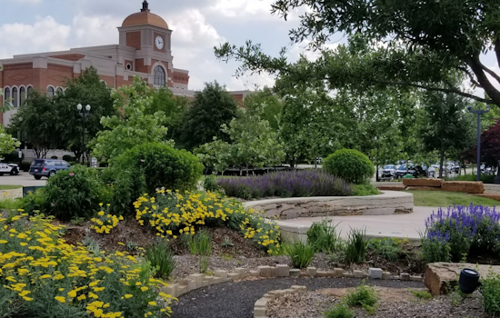 Lewisville and Castle Hills Residents Get City Help with Post-Storm Cleanup Starting June 10