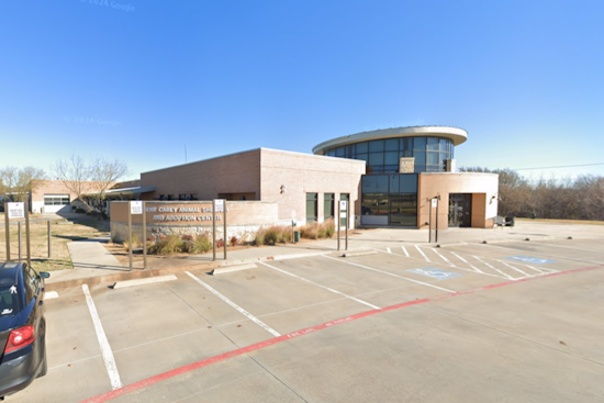 Lewisville and TCAP to Host Affordable Vaccine Clinic for Pets on July 6th