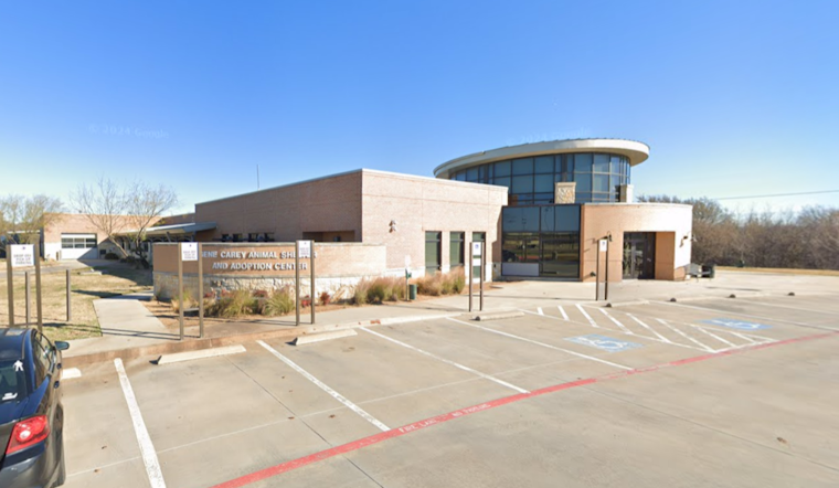 Lewisville and TCAP to Host Affordable Vaccine Clinic for Pets on July 6th