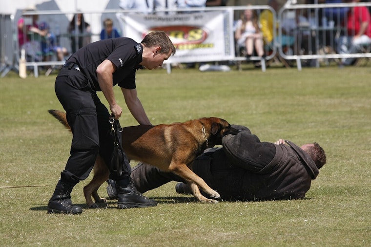 Los Angeles City Council Rejects K9 Donation Over Company's Name Similarity to Hitler's Bunker