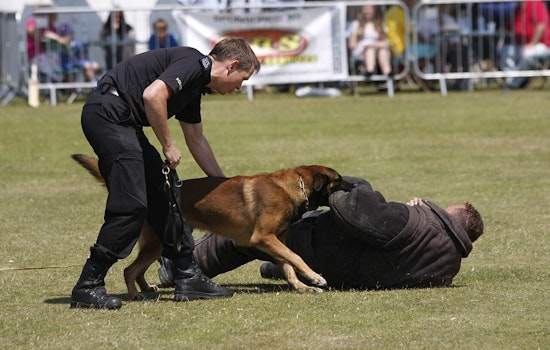 Los Angeles City Council Rejects K9 Donation Over Company's Name Similarity to Hitler's Bunker