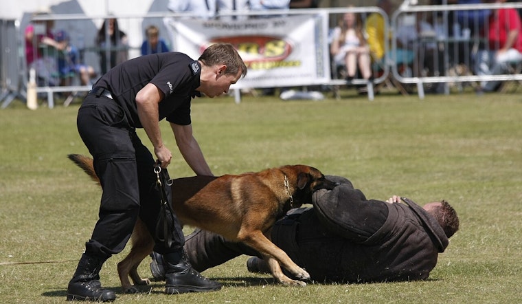 Los Angeles City Council Rejects K9 Donation Over Company's Name Similarity to Hitler's Bunker