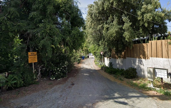 Los Angeles Firefighters Swiftly Contain Sunland Brush Fire, No Structures Damaged
